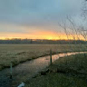 Meet your Posher, Evan